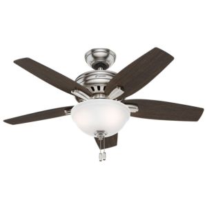Newsome 42-inch 2-Light Indoor Ceiling Fan