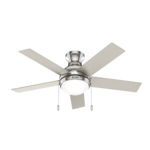 Aren 2-Light 44" Ceiling Fan in Brushed Nickel