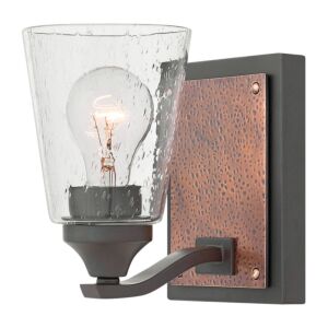 Hinkley Jackson 1-Light Bathroom Vanity Light In Buckeye Bronze