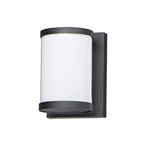 Barrel 1-Light LED Outdoor Wall Sconce in Black