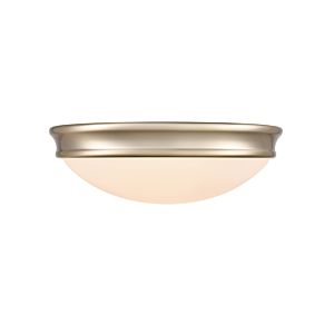2-Light Ceiling Light in Modern Gold