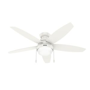Lilliana 2-Light 52" Ceiling Fan in Fresh White