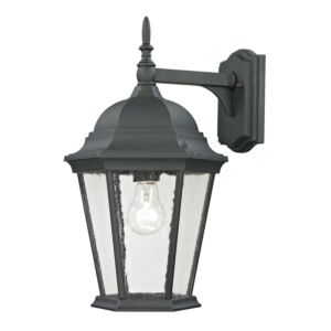 Temple Hill 1-Light Outdoor Wall Sconce in Matte Textured Black