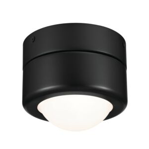 Tibbi 1-Light LED Flush Mount in Black