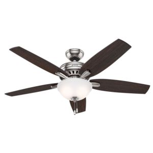 Newsome 52-inch 2-Light Indoor Cased White Ceiling Fan