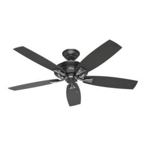 Hunter Rainsford 52 Inch Indoor/Outdoor Ceiling Fan in Matte Black
