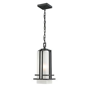 Z-Lite Abbey 1-Light Outdoor Chain Mount Ceiling Fixture Light In Black