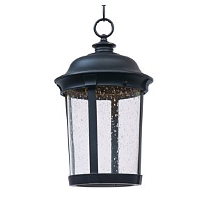 Dover LED Outdoor Hanging Lantern