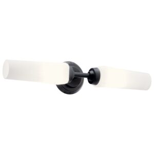 Truby 2-Light Wall Sconce in Black