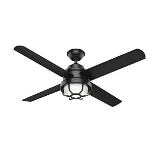 Hunter Searow 2 Light 54 Inch Indoor/Outdoor Ceiling Fan in Matte Black