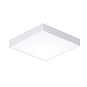  Trim Ceiling Light in White