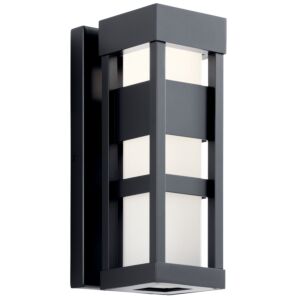 Ryler 1-Light LED Outdoor Wall Mount in Black