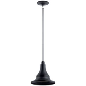 Hampshire 1-Light Outdoor Hanging Lantern in Textured Black