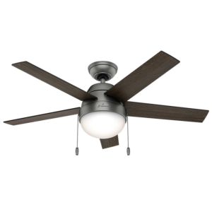 Anslee 46-inch 2-Light Indoor Ceiling Fan