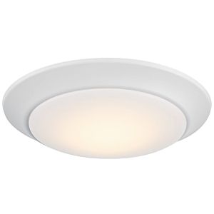 LED Disc Light in White