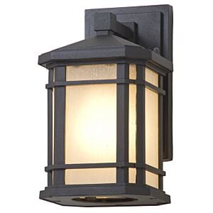 DVI Cardiff Outdoor 1-Light Outdoor Wall Sconce in Black