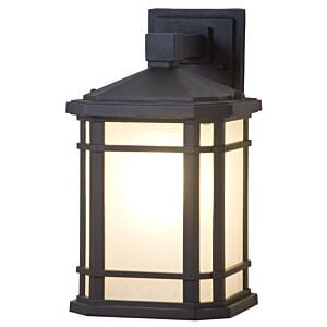 Cardiff Outdoor 1-Light Outdoor Wall Sconce in Black