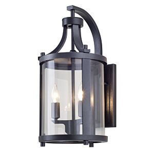 Niagara Outdoor 2-Light Outdoor Wall Sconce in Hammered Black