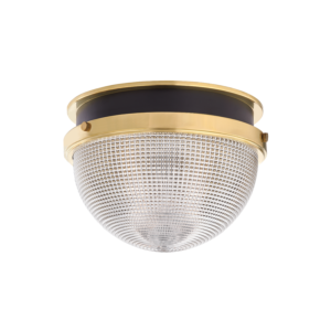 Hudson Valley Lucien Ceiling Light in Aged Brass and Black