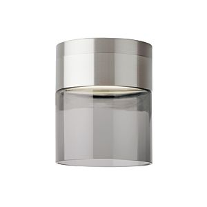 Visual Comfort Modern Manette 2700K LED 5" Ceiling Light in Satin Nickel and Transparent Smoke