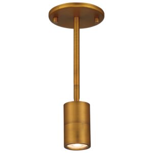 Cafe Dual Mount 1-Light LED Wall Or Ceiling Spotlight in Antique Brushed Brass
