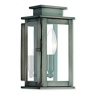 Princeton 1-Light Outdoor Wall Lantern in Vintage Pewter w with Polished Chrome Stainless Steel