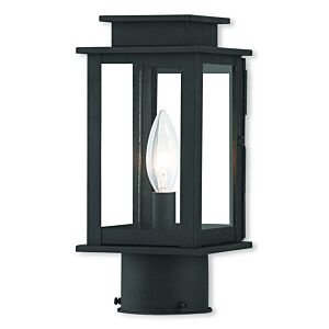 Princeton 1-Light Outdoor Post-Top Lanterm in Black w with Polished Chrome Stainless Steel