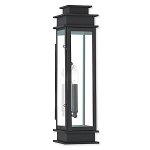 Princeton 1-Light Outdoor Wall Lantern in Bronze w with Polished Chrome Stainless Steel
