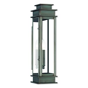 Princeton 1-Light Outdoor Wall Lantern in Vintage Pewter w with Polished Chrome Stainless Steel