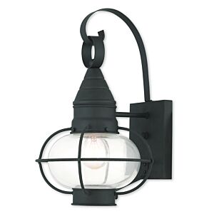 Newburyport 1-Light Outdoor Wall Lantern in Black