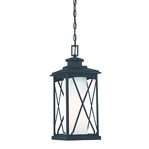 Lansdale Traditional Outdoor Hanging Light in Black