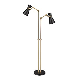 Z-Lite Soriano 2-Light Floor Lamp Light In Matte Black With Heritage Brass