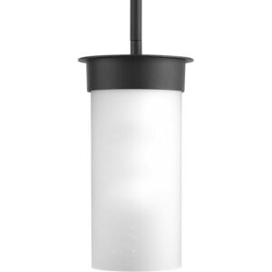 Hawthorne 1-Light Hanging Lantern in Black
