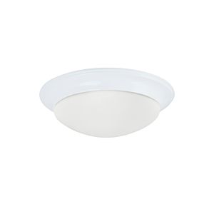 Generation Lighting Nash 2-Light Ceiling Light in White