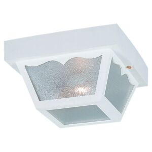 Outdoor Ceiling 2-Light Outdoor Flush Mount in White
