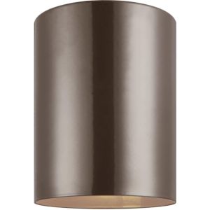 Sea Gull Cylinders Outdoor Ceiling Light in Bronze