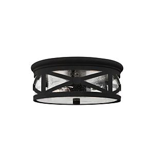 Sea Gull Lakeview 2 Light Outdoor Ceiling Light in Black