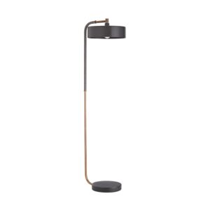 Aaron 1-Light Floor Lamp in Heritage Brass