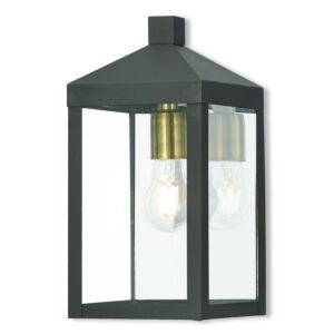 Nyack 1-Light Outdoor Wall Lantern in Bronze w with Antique Brass Cluster and Polished Chrome Stainless Steel