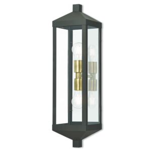 Nyack 2-Light Outdoor Wall Lantern in Bronze w with Antique Brass Cluster and Polished Chrome Stainless Steel