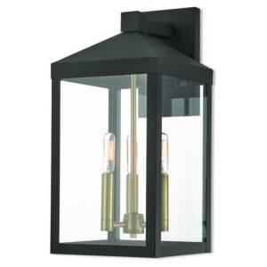 Nyack 3-Light Outdoor Wall Lantern in Bronze w with Antique Brass Cluster