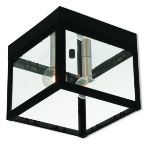 Nyack 2-Light Outdoor Ceiling Mount in Black w with Brushed Nickel Cluster