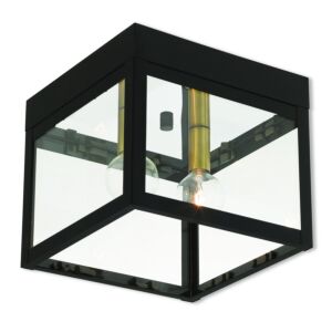 Nyack 2-Light Outdoor Ceiling Mount in Bronze w with Antique Brass Cluster w/ Polished Chrome Stainless Steel