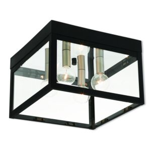 Nyack 4-Light Outdoor Ceiling Mount in Black w with Brushed Nickel Cluster