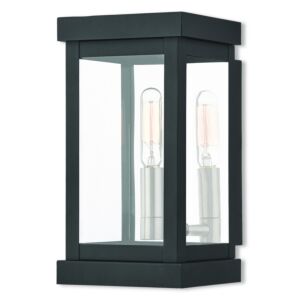 Hopewell 1-Light Outdoor Wall Lantern in Black w with Brushed Nickel Cluster and Polished Chrome Stainless Steel
