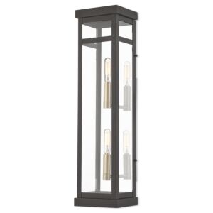 Hopewell 2-Light Outdoor Wall Lantern in Bronze w with Antique Brass Cluster and Polished Chrome Stainless Steel