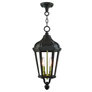 Morgan 2-Light Outdoor Pendant in Bronze w with Antique Gold Cluster