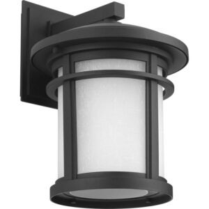 Wish 1-Light Wall Lantern in Black