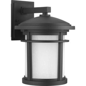 Wish LED 1-Light LED Wall Lantern in Black