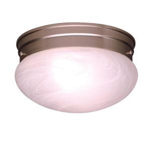 Ceiling Space 12-Pack Ceiling Light